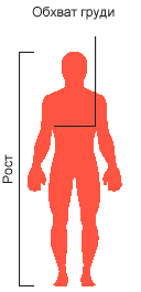 Замеры для определения размера комбинезона
